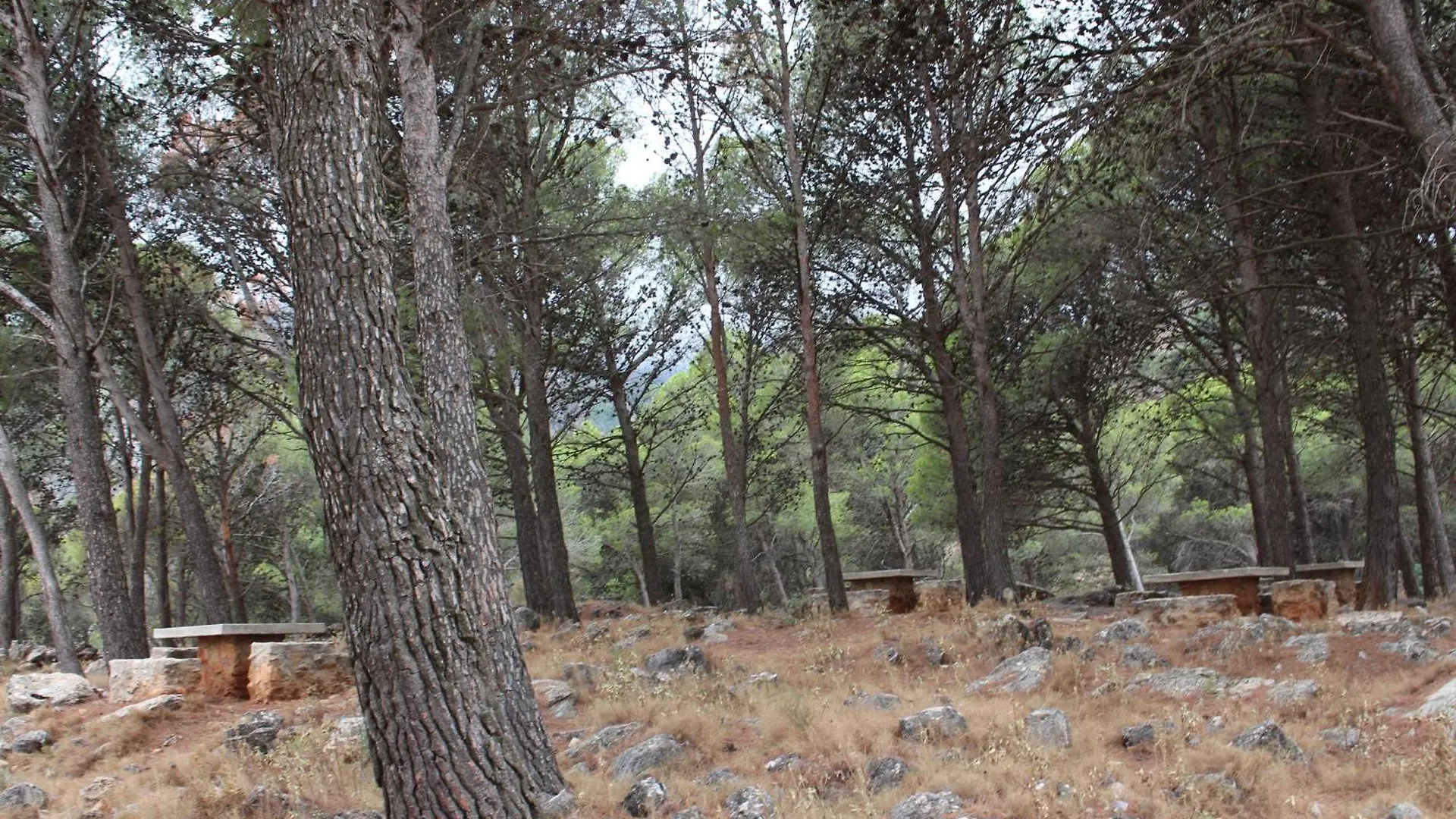 Apartamento En Casarabonela 0*,  Spain